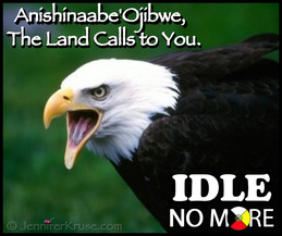 Native American Medicine News. Anishinaabe Ojibwe, the Land Calls to You - 