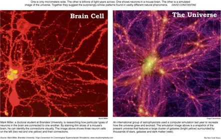 Brain Cell resembles the Universe. What is Expected in this 