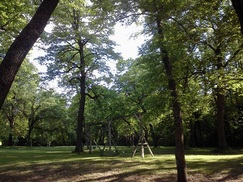 park swings at Ulen rest area. photo by: Jennifer Kruse, LMT CRMT